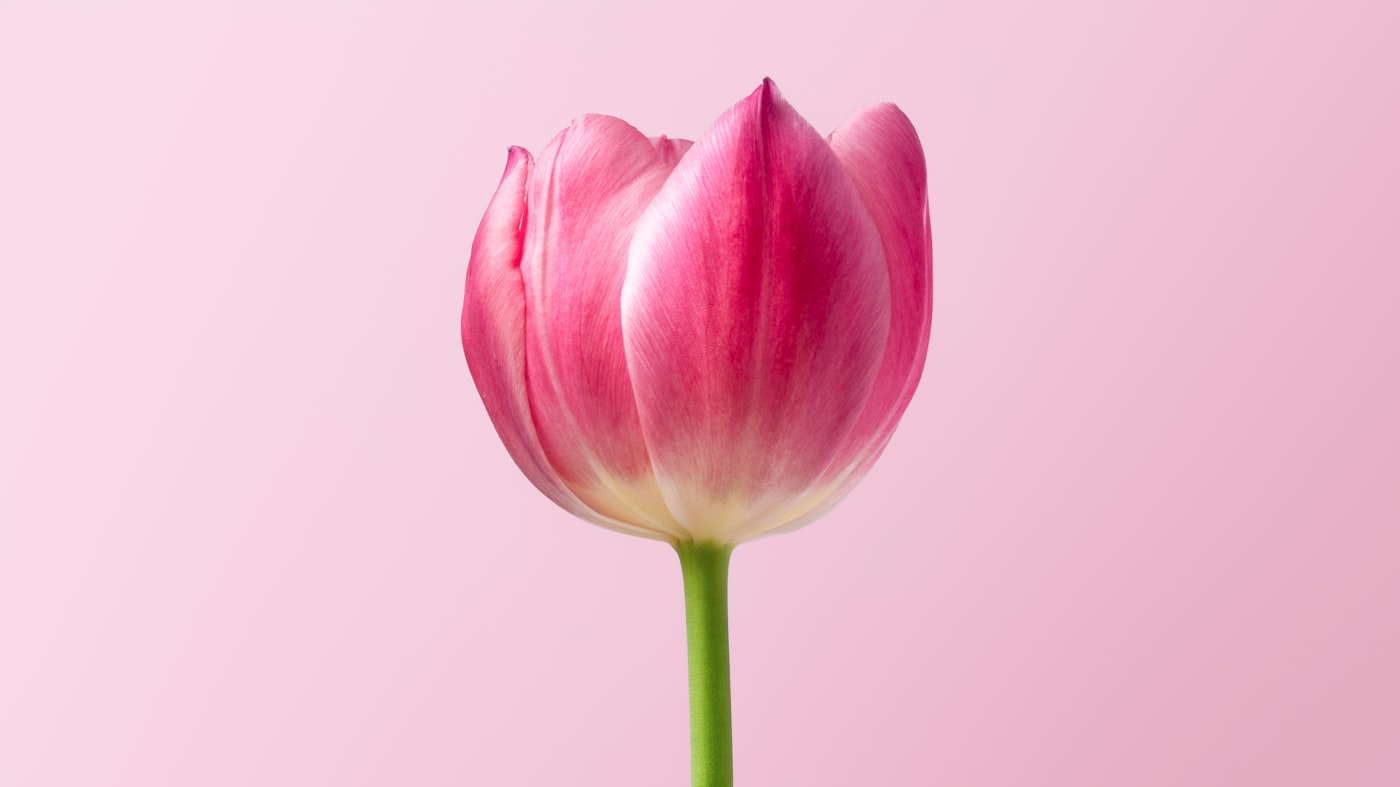 Angelo Bloemen